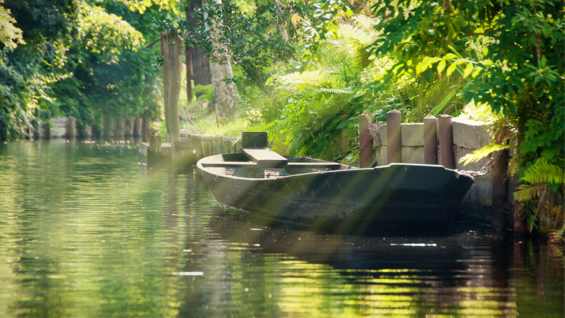 Spreewald-Motiv (5)
